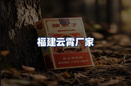 福建云霄厂家
